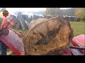 Amazing Automatic Homemade Firewood Processing Machines, Powerful Wood Splitting Machines Working