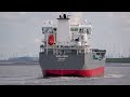 36 MINUTES OF 4K SHIPSPOTTING - SHIPS GOING TO AND COMING FROM PORT OF ANTWERP BELGIUM FEBRUARY 2024