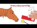 The harm of whips #recycleyourwhip | Animated Series Episode 6