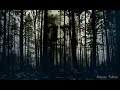 True Horror Story - The Whispering Woods: Haunting Encounters in the Colorado Wilderness