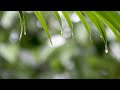 10 Hours of Relaxing Music, Sleep Music with Rain Sound, Piano Music for Stress Relief #2