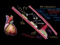 Atherosclerosis | Circulatory System and Disease | NCLEX-RN | Khan Academy
