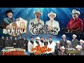 Corridos Viejitos 2024 Mix Ramon Ayala, Los Tucanes de Tijuana, Los Tigres Del Norte, Lalo Mora