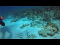 Key Largo Racetrack SCUBA Dive with Rainbow Reef Dive Center 20200623