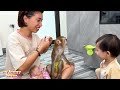 Cuteness Overload: Monkey Mit in Monkey Kaka's Dress