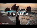 “HABIBA”Oriental Dancehall Type Beat x Balkan Reggaeton Instrumental Prod by Iprod BEATS