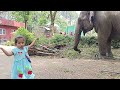 Dancing in front of an elephant हात्तीको अघि नाच्दै