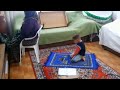 Namaz Kılmayanlar İzlesin ( çocuk seccadeyi kıble 'ye doğru seriyor )  )