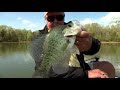 Flooded Timber Crappie | Bill Dance Outdoors