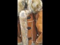 Shearling Fur Coat