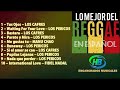 Reggae (En Español) Enganchados - (Los Cafres, Los Pericos, Manu Chao, y Fidel Nadal)