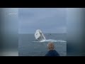 Caught on camera: Breaching whale flips boat