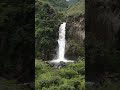 AMAZING WATERFALLS #beautiful #nature  #youtubeshorts #waterfalls #shorts #relaxing