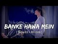 Banke Hawa Mein Song Lofi [slowed+reverb]