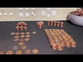 I Found Old Wheat Cents with Mintmarks! | Coins of the 20th Century