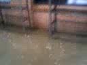 flood 2