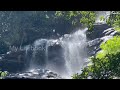 Kiliyur Waterfalls Yercaud | Places to Visit in Yercaud | Yercaud Tourist Places | Adventure Trip