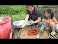 Harvesting guava to sell to earn money to raise children | single mother 16 years old | ly tieu tieu