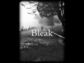 Bleak - Forgotten Days