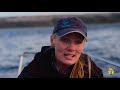 Searching for the Missing Great Whites of South Africa | Shark Week