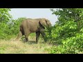 3 Days in the Kruger National Park