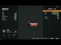 theHunter : Diamond Roosevelt Elk