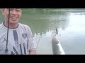 mancing ikan belanak di kolo TERAMANG || Rio Saputra Asm