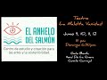 flamenco seminario en el campo