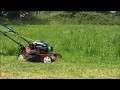 Tillotson engine cutting medium tall grass