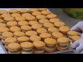 3,000 sold out in a day! Mass production of overwhelming macaron