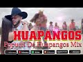 Mix de Huapangos 2024 ~ Popurri De Huapangos Chingones Mix ~ Para Bailar Zapateado