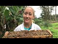 SPOT THE QUEEN BEE EVERY TIME: Secret to Finding the Queen EVERY Time