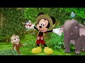 Every Me & Mickey Vlog | Mickey Mouse Compilation | Music, Dance, DIY & Story Time! | @disneyjunior