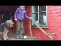 Chainsaw Carving New Porch Steps From A Single Tree Stump