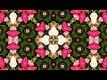 English daisy -  Kaleidoscope (4K)