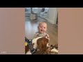 When we become best friends - Cute Moments Dog and Human