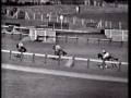 1964 Cheltenham Gold Cup Arkle and Mill House.avi
