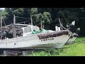 🇯🇵this is an anchovy hunting ship‼️#fishing #japan #fyp #videoshort #viralvideo