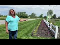 Proven Winners Signature Garden Tour - Newly Planted Annuals