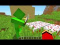 JJ Does AMAZING PRANKS On Mikey! JJ And Mikey NOOB vs PRO The BEST PRANKS in Minecraft Maizen