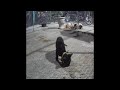 IMPOSSIBLE TRY NOT TO LAUGH 😆🤣 Best Funniest Catss Video 2024 🐱