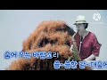 숨어우는바람소리 (이정옥)연주 김성자 색소폰뮤직