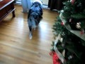 The Aussie excited about Santa