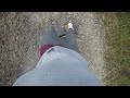 ONEWHEEL XR POV