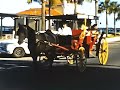 (8) 1957, St. Augustine, Horse and Carriage Ride