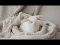 Music for Rabbits - Calming Lullabies for ANXIETY - SLEEP - BOREDOM 🐰💤
