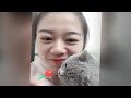 Cute and Funny Pet Moments Caught on Camera 😂 Funny Cats Videos 2024 🐕