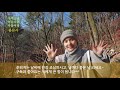 무여스님과 함께 하는 사찰여행 – 용문사(경기 양평), Yongmunsa Temple[4k]