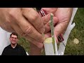 Easy Way to Graft a New Variety to a Fruit Tree