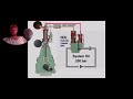 DIFFERENCES BETWEEN MC & ME ENGINES